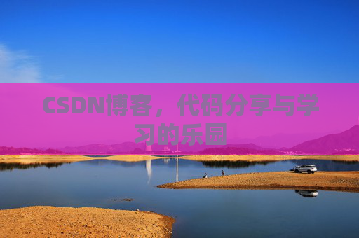 CSDN博客，代码分享与学习的乐园